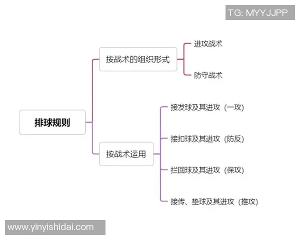 深入分析上海排球队的整体压制战术及其在比赛中的应用效果