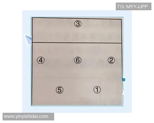 武汉排球队边路渗透战术解析与实践探讨